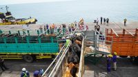 1080 sapi FH dari Australia tiba di Jawa Timur